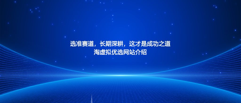 图片[1]-选准赛道，长期深耕，这才是成功之道-淘虚拟优选